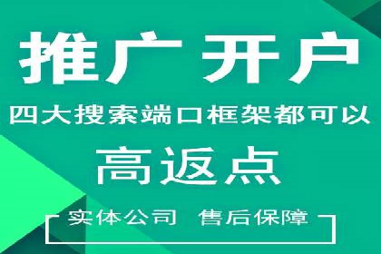 充值返点机制在社交平台的应用案例